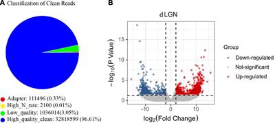 Regional Downregulation of Dopamine Receptor D1 in Bilateral Dorsal Lateral Geniculate Nucleus of Monocular Form-Deprived Amblyopia Models